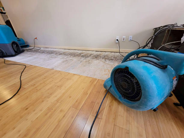 Professional Emergency Water Damage technician working in Whitesville, WV